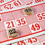 Bingo Terminology – Essential Terms to Know